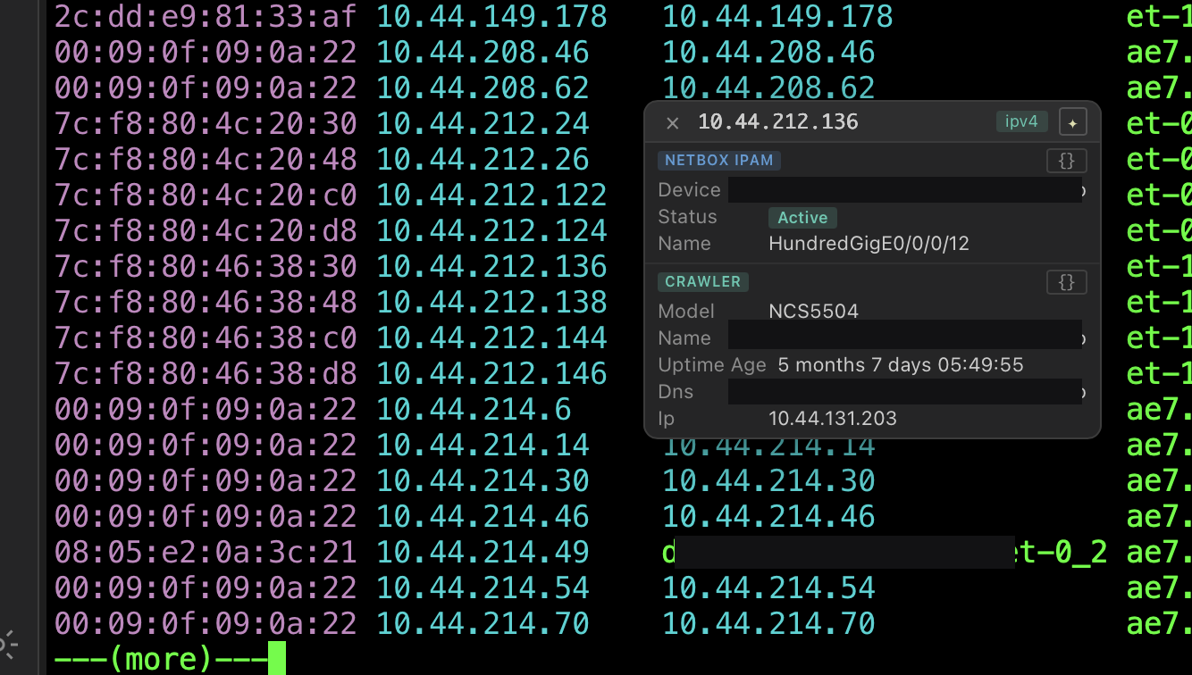 Hovering an IP address in terminal output shows a NetBox and crawler enrichment card in NetStacks